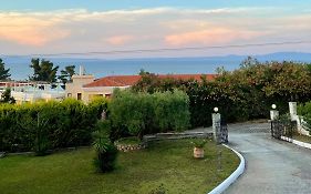 Sea View House